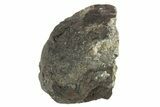 Chelyabinsk Meteorite ( g) - Witnessed Fall #263524-1